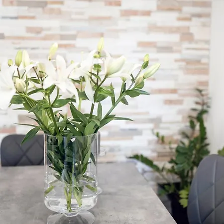 Daire Montesa With Free Parking And Balcony Zadar