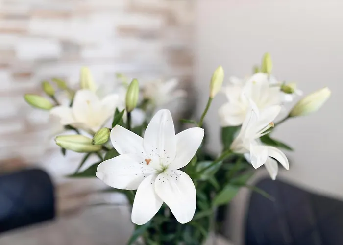 公寓 Montesa With Free Parking And Balcony